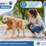 Собака кульгає під час прогулянки, а власниця уважно спостерігає за його ходою