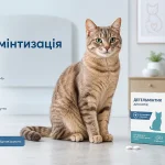 Домашній кіт поруч із засобом для дегельмінтизації та мискою з водою