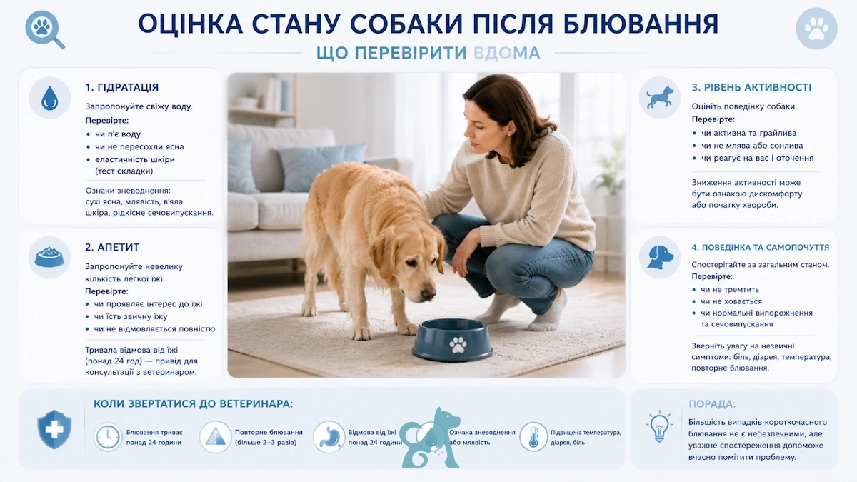 власниця оцінює стан собаки після блювання та перевіряє її самопочуття вдома