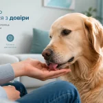 собака лиже руку господаря у спокійній домашній атмосфері