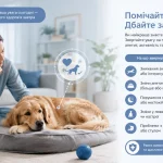 власниця спостерігає за собакою та оцінює зміни в поведінці, апетиті й активності
