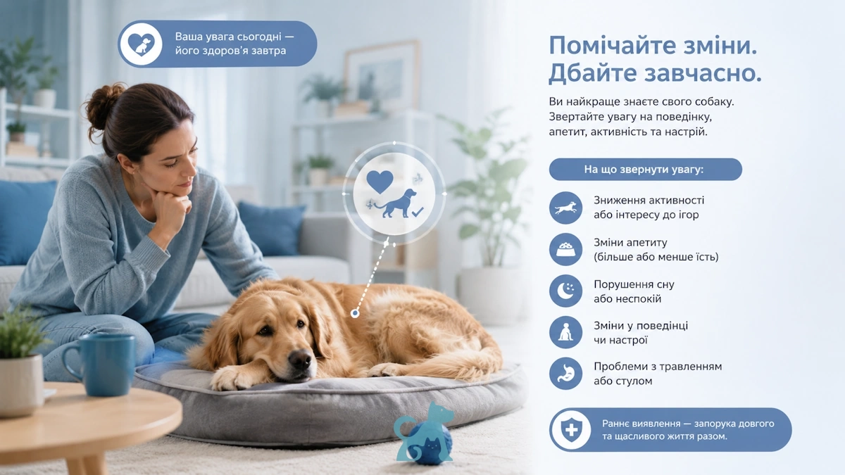 Як зрозуміти, що собака хворіє: ветеринари назвали ранні ознаки, які власники часто пропускають